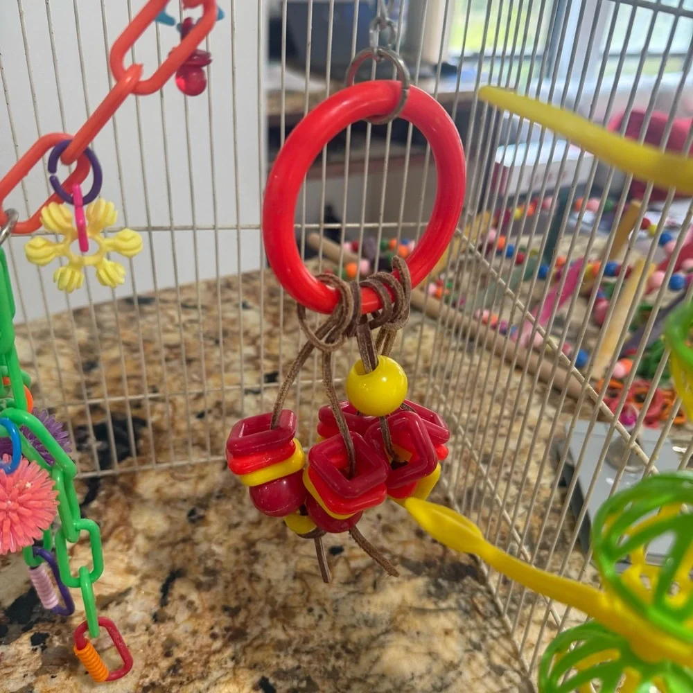 Vibrant Hanging Bird Toy Set with Rope and Beads
